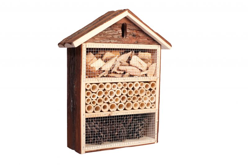 Stayokay Insectenhotel